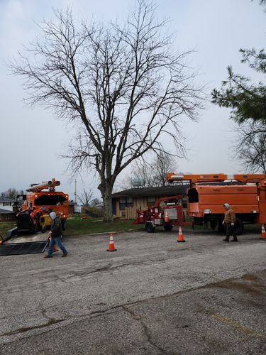 All Photos for Carpenter's Tree Service in Aurora, IN