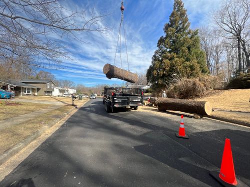 Crane services for DIAZ TREE in Stafford, VA