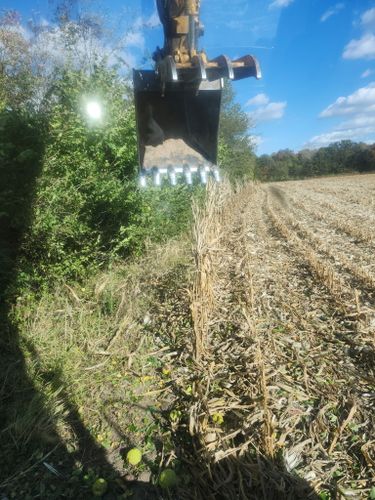 Land Clearing & Demolition for BDS Trucking & Excavating in Litchfield, IL
