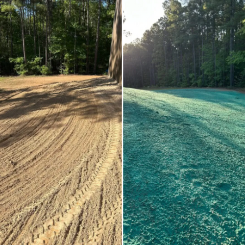  for Deeply Rooted Lawn Installations - Sod Installation & Hydroseeding Services in Winder, GA