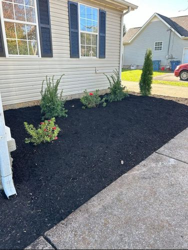 Landscape Installation for MLC in Murfreesboro, TN