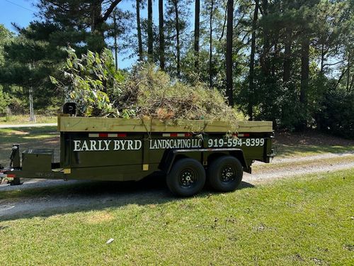 Fall and Spring Clean Up for Early Byrd Landscaping & Lawn Care  in Angier, NC