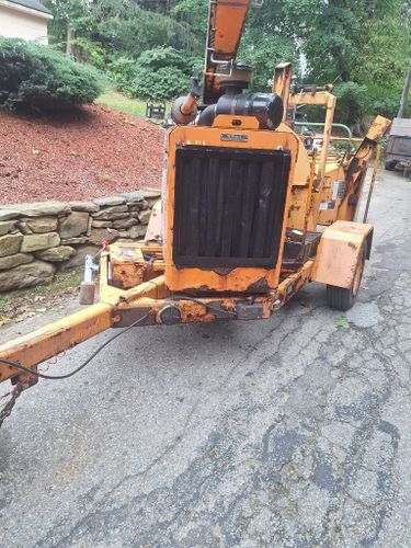 Tree Removal for Mitchell's Tree Service in North Brookfield, MA