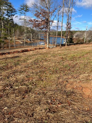 Land Clearing for Gibson Grade Works in Towns County, GA
