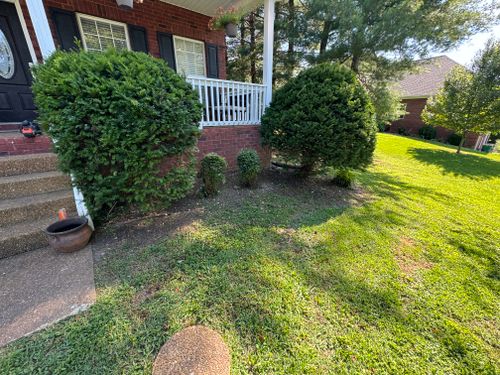 All Photos for Grass & Blast Property Solutions in Spring Hill, TN