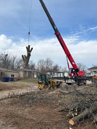 Land Clearing for Elevated Tree Care in Gillette, WY