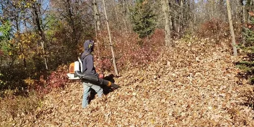 Seasonal Cleanup for BRO Property Services in Bemidji, MN