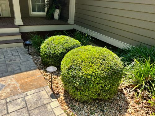 Shrub Trimming for Battle Lawn Maintenance in Eatonton, GA