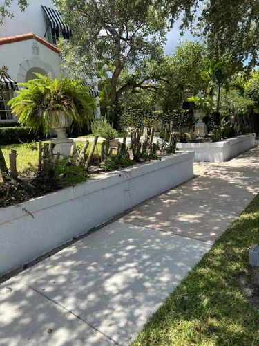 All Photos for Rey Landscaping & Lawn service LLC in West Palm Beach,  FL