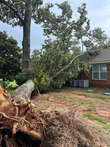 Storm Services for Mud Creek Vegetation Management in Russellville, AL