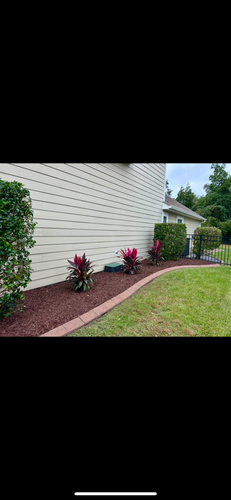 All Photos for New Creation Landscaping in Myrtle Beach, SC