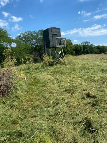 Hunting Stands/Tower Blind Construction for Two Young Bucks in Leon, IA