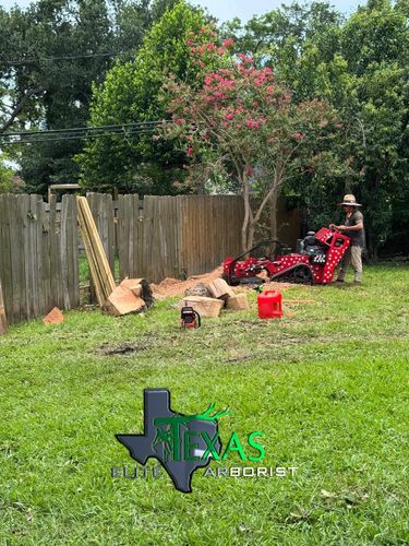  for Texas Elite Arborist in Houston, TX