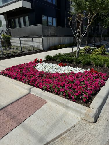 Seasonal color changes for Guerrero's Landscape in Fort Worth,  TX