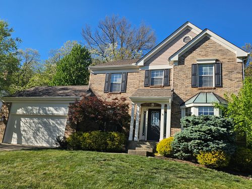  for Hearts & Hands Painting in Campbell, KY