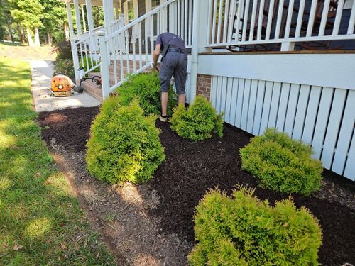  for Upstate Lawncare Maintenance in Easley, SC