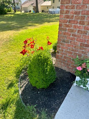 Shrub Trimming for Sargent's Lawn and Property Maintenance LLC in Lambertville, MI