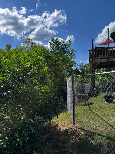 Chainlink Fences for Alpine Fence in Dahlonega, GA