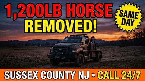 Dead Horse Removal for AllStarr Dead Animal Dead Deer Removal Service in Manchester Township, NJ