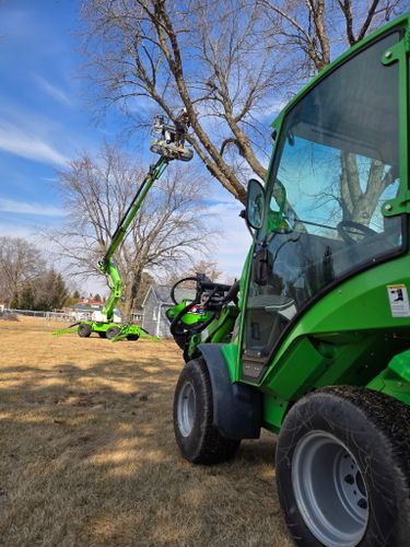 Tree Removal for Olson Tree Service, Inc in Rockford, IL