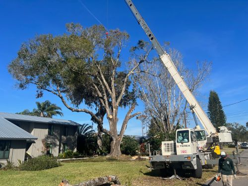 Crane Removals for Adam's Tree and Stump Care in Sarasota, FL