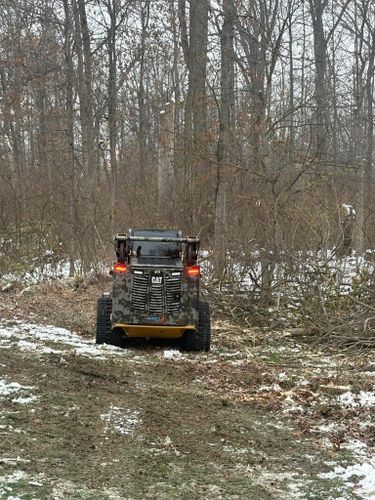  for Dig-It Tree Company in Mason, OH