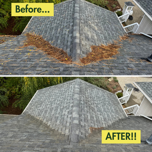 All Photos for Swift Serve in Coeur d'Alene, ID