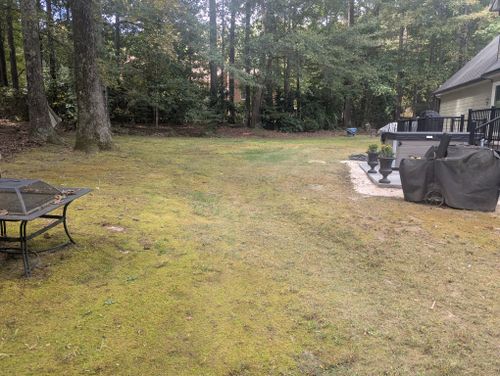  for Fantastic Lawn Care LLC in Fayetteville, GA