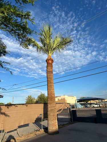  for OZ Landscape LLC in Surprise, AZ