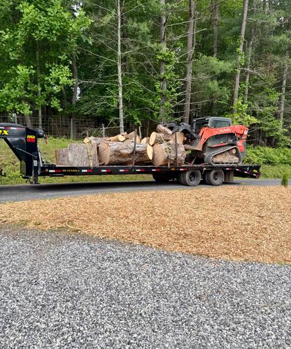  for Clear Tree Land Solutions in Dawson County, GA