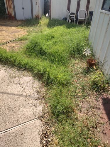 for Smooth Lawn Service in Mesa, AZ