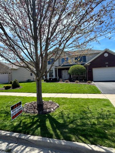 Home Softwash for J&J Power Washing and Gutter Cleaning in Sycamore, IL