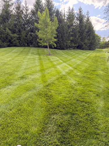 Lawn Care and Maintenance for Sneed & Co LLC in Kokomo, IN