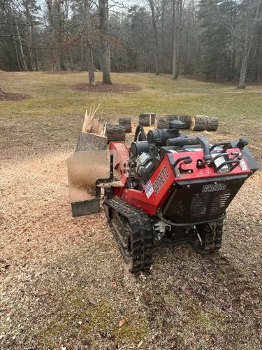 All Photos for Ramirez Tree Care in Elkin, NC