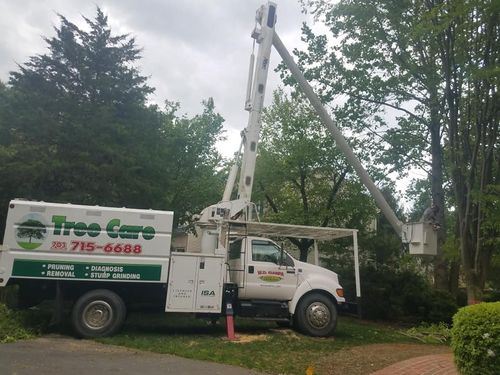 Stump Removal for W D Giampa Lawns and Landscape Inc. in Manassas, VA