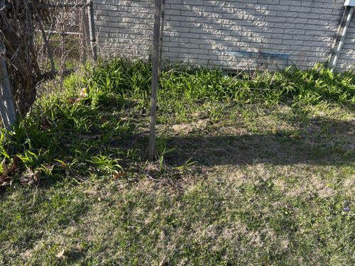  for Cena Landscaping in Rockford, IL