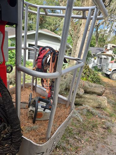 Tree Trimming for Near Me Tree Service, Inc. in DeLand, FL