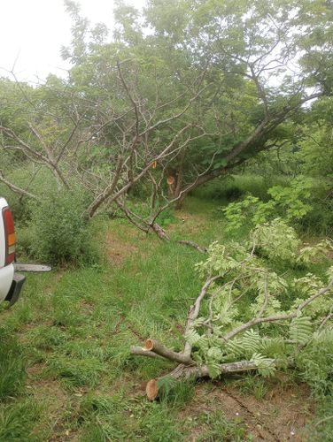 Mowing for Emergency Yard Care LLC in Waxahachie, TX