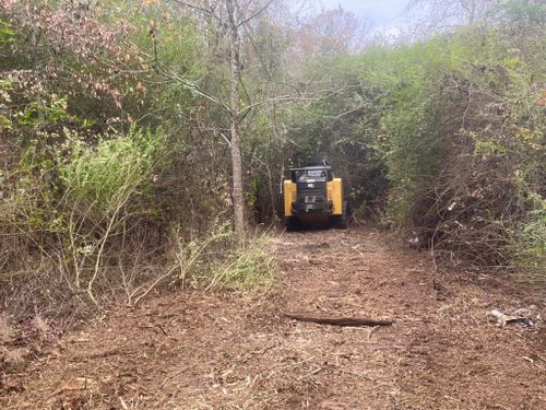 Land Clearing for South Mississippi Land Management LLC in Columbia, Mississippi