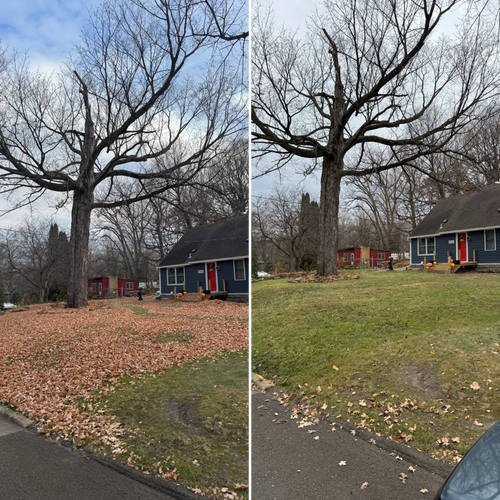  for Bubba’s Seasonal Services in Buffalo, MN