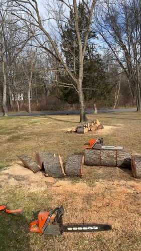 All Photos for Gray's Tree Service  in Shenandoah County, VA