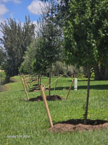 All Photos for Bridgewater Arbor Care LLC in Jupiter, FL