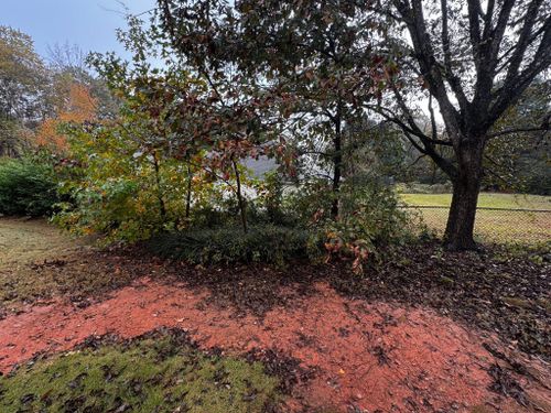  for Deeply Rooted Lawns – Hydroseeding & Sod Installation Services in Winder, GA