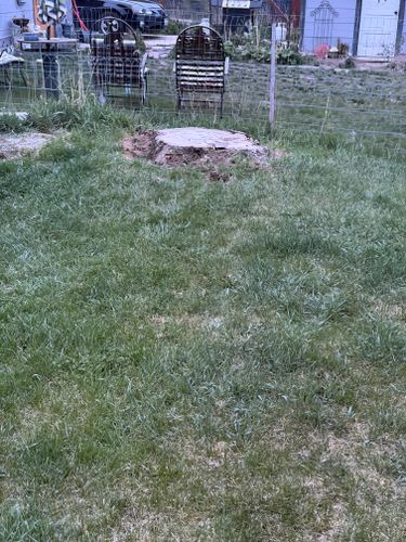  for Elevated Tree Care in Gillette, WY