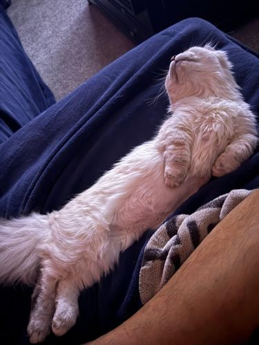  for V.I.P Plumbing in Sandpoint, ID