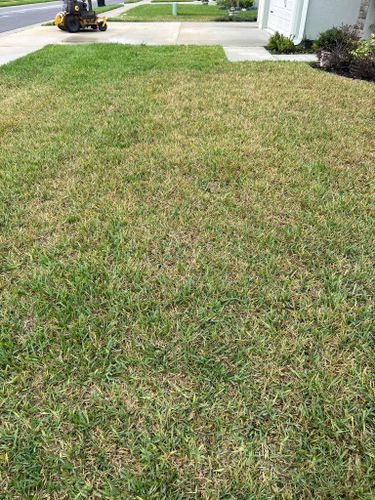 All Photos for Estrada All Pro Lawn Service in Auburndale, Florida