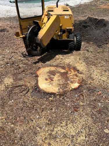  for Grizzly Stump Grinding in Sarasota, FL