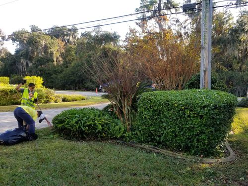 Lawn Care for V Man Services LLC in Asbury Lake, FL