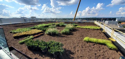 Patio Design & Construction for Green Ventures Landscaping in Murfreesboro, TN