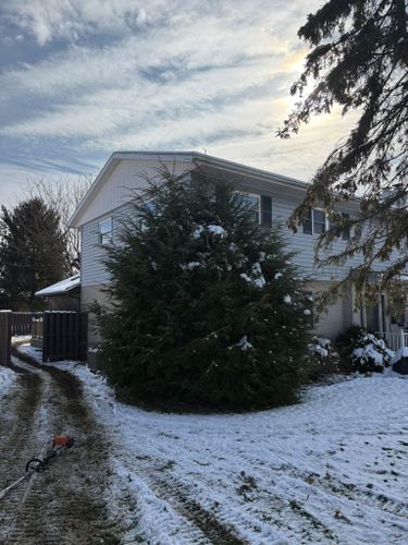  for Dig-It Tree Company in Mason, OH